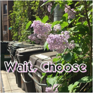 wait choose lilacs garbage